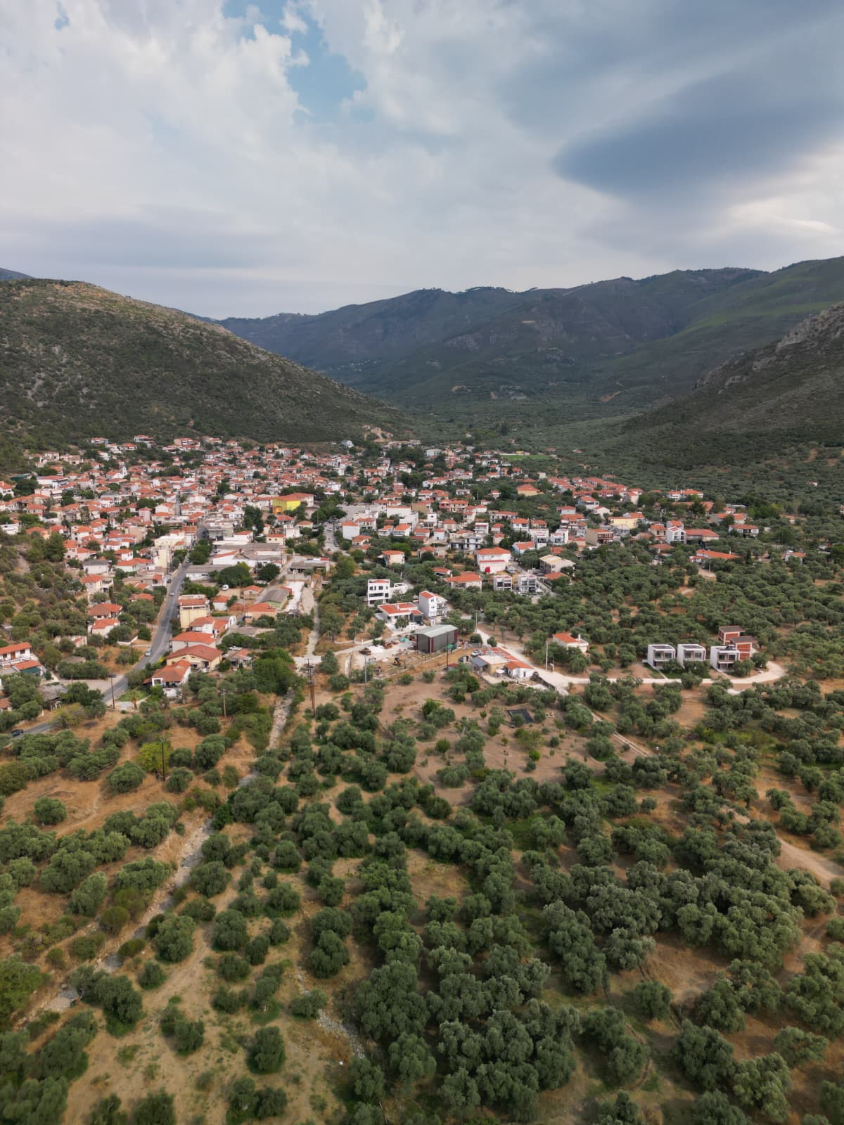 Prinos Zeytinlik